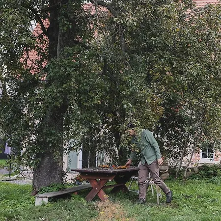 Dwie Brzozy Wegetarianskie Siedlisko Affittacamere Wlen