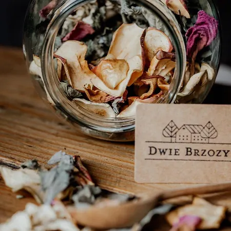 Dwie Brzozy Wegetarianskie Siedlisko 3*