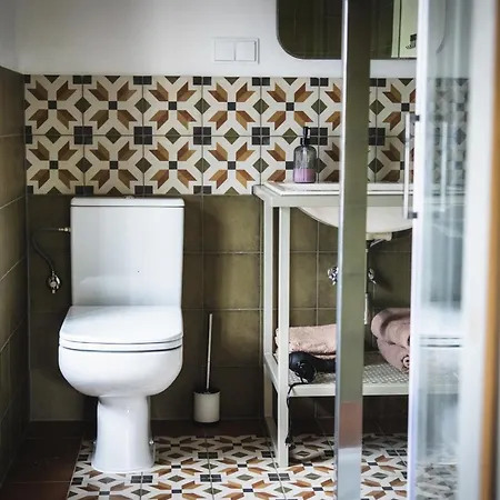 게스트하우스 Dwie Brzozy Wegetarianskie Siedlisko 3*