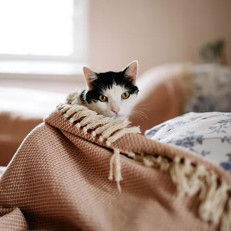 Dwie Brzozy Wegetarianskie Siedlisko 게스트하우스 Wlen