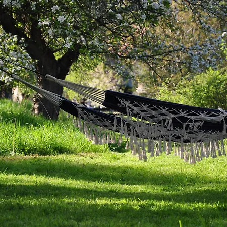 Dwie Brzozy Wegetarianskie Siedlisko Wlen