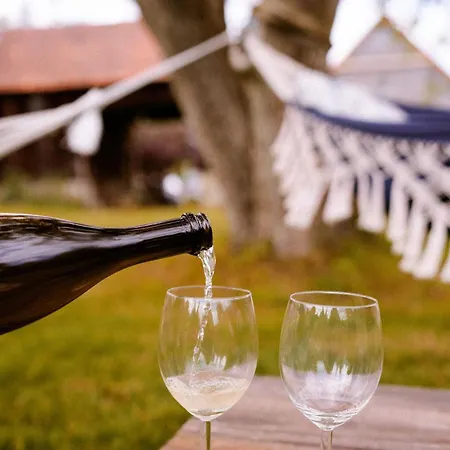 Dwie Brzozy Wegetarianskie Siedlisko 3* Wlen