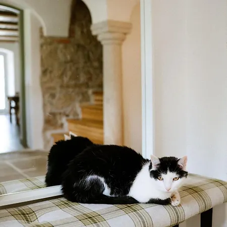 게스트하우스 Dwie Brzozy Wegetarianskie Siedlisko