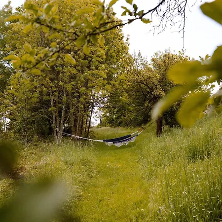 게스트하우스 Dwie Brzozy Wegetarianskie Siedlisko Wlen