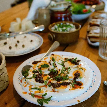 Dwie Brzozy Wegetarianskie Siedlisko 3*