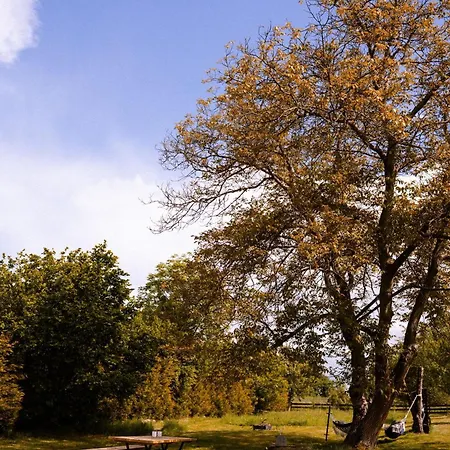 Dwie Brzozy Wegetarianskie Siedlisko 3* Wlen