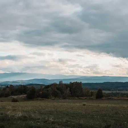 Dwie Brzozy Wegetarianskie Siedlisko 게스트하우스 3*