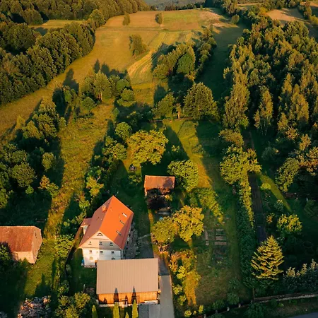 Pensjonat Dwie Brzozy Wegetariańskie Siedlisko 3*