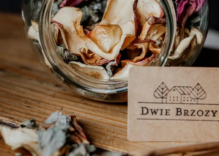 Dwie Brzozy Wegetarianskie Siedlisko 3*