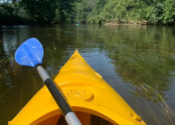 Dwie Brzozy Wegetarianskie Siedlisko Affittacamere 3*