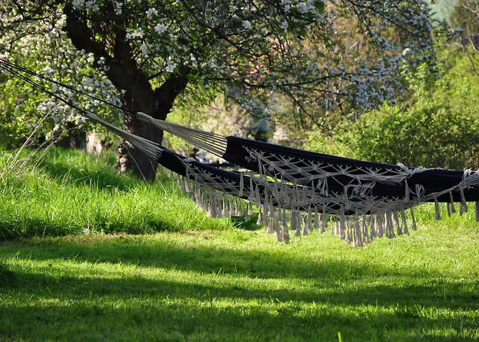 Dwie Brzozy Wegetarianskie Siedlisko Wlen