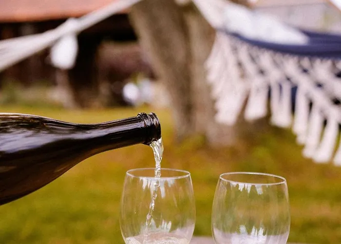 Dwie Brzozy Wegetarianskie Siedlisko 3* Wlen