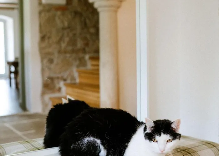 Guest house Dwie Brzozy Wegetarianskie Siedlisko