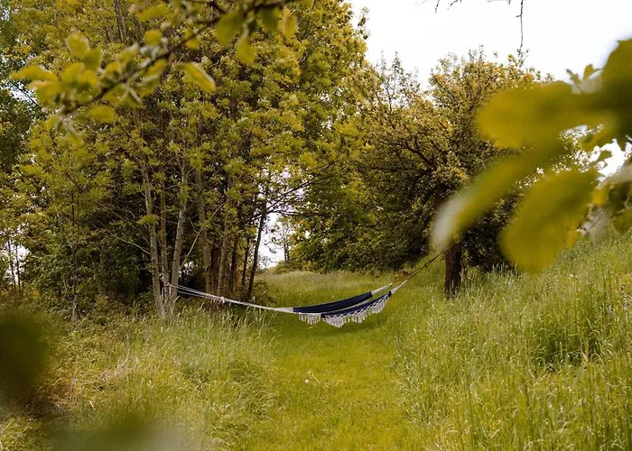 Guest house Dwie Brzozy Wegetarianskie Siedlisko Wlen