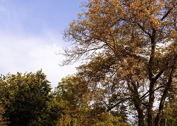 Dwie Brzozy Wegetarianskie Siedlisko 3* Wlen